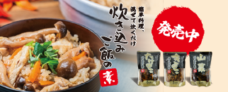 炊き込みご飯の素350ｇ