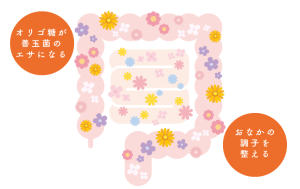 おなかの調子を整える図