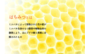 はちみつとはミツバチによって採集された花の蜜（ショ糖）が、ミツバチ自身のもつ酵素や植物由来の酵素により、主に「ブドウ糖」と「果糖」に分解されたもの